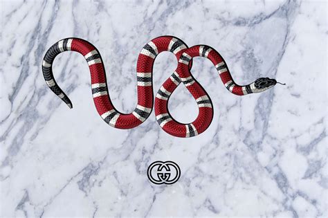 gucci with snake design|gucci snake meaning.